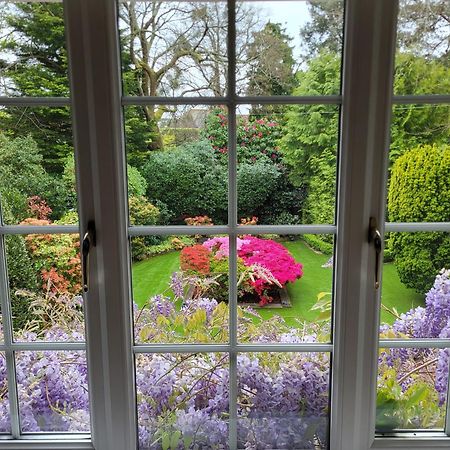 Little Robin Gate - Free Parking - Central - 10 Min Walk To Train Station Bournemouth Luaran gambar